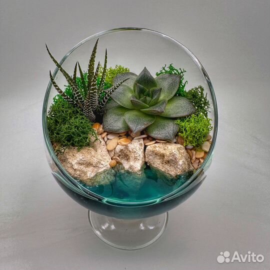 Флорариум с суккулентами
