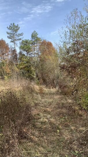 Участок 14,1 сот. (ИЖС)