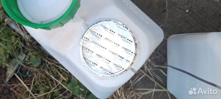 Колосаль про