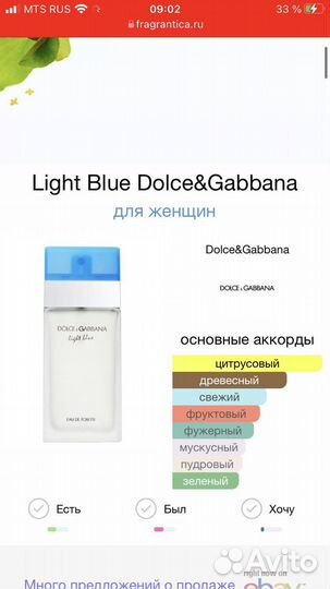 Dolce gabbana light blue парфюмерия