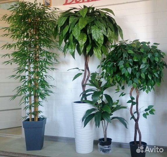 Декоративные деревья, цветы искусственные