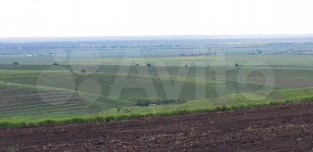 220 га. 220 га. Гектар земли. Новосурино можайск. 220 га.