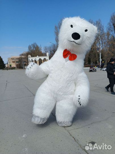 Белый мишка поздравление