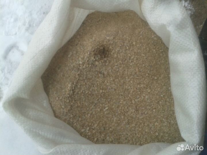 Ракушка морская кормовая