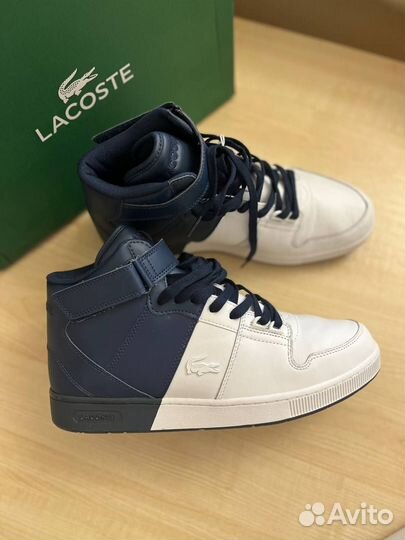 Кроссовки Lacoste мужские