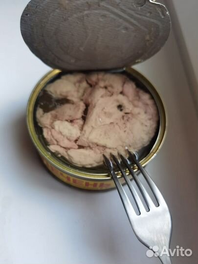 Печень Трески морская из свежего сырья