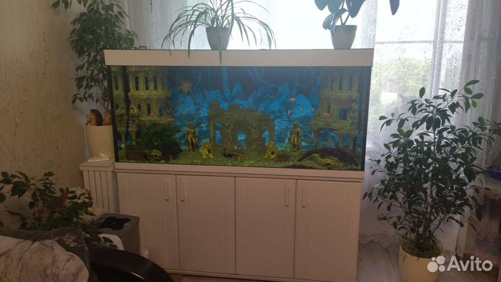 Аквариум на 500 литров