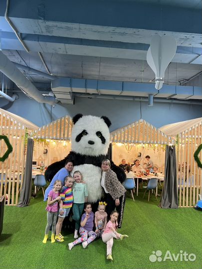 Поздравление белого мишки/ чебурашки/панды