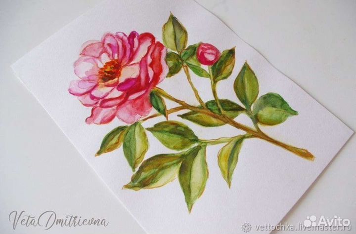 Ботаническая акварель цветущий бутон акварель