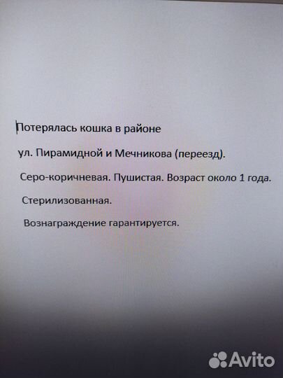 Потерялась кошка