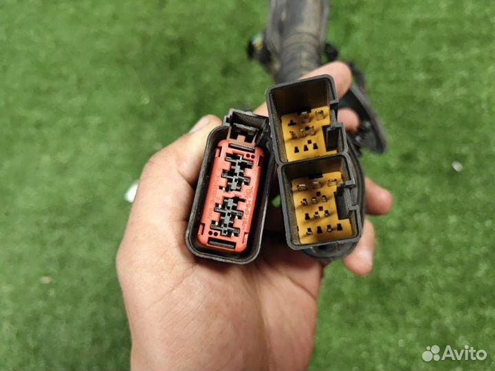 Проводка двери передняя правая Ford Focus 2