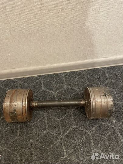 Гантеля 10 кг