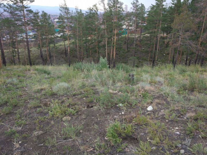 Участок 8 сот. (ИЖС)