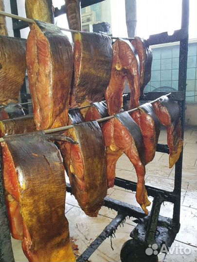 Рыба от производителя