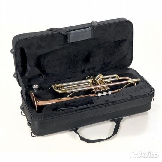 ROY benson TR-202 Bb труба