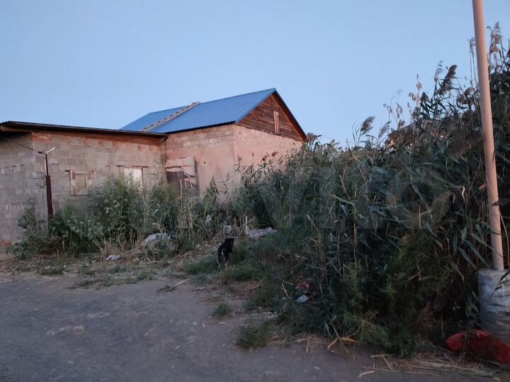 Дом 42,7 м² на участке 6,4 сот.