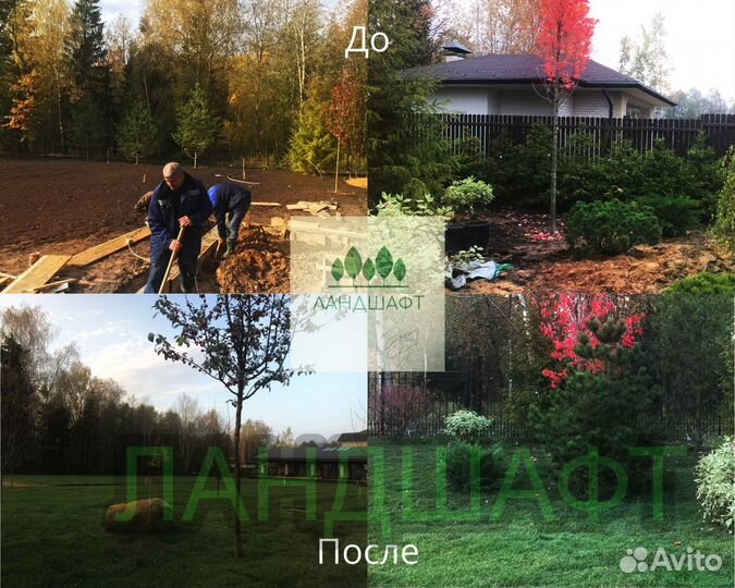 Городской рулонный газон доставка Апрелевка