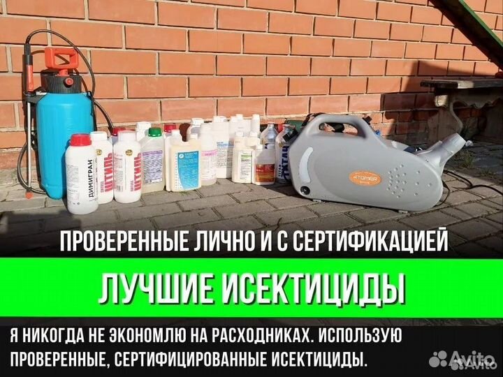 Уничтожение тараканов клопов дезинфекция убить тар