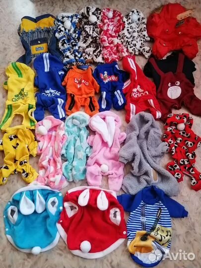 Комбинезоны для собачек и др. вещи