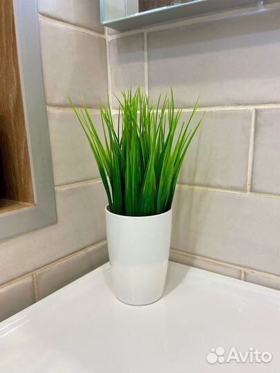 Декоративная интерьерная трава, осока в кашпо