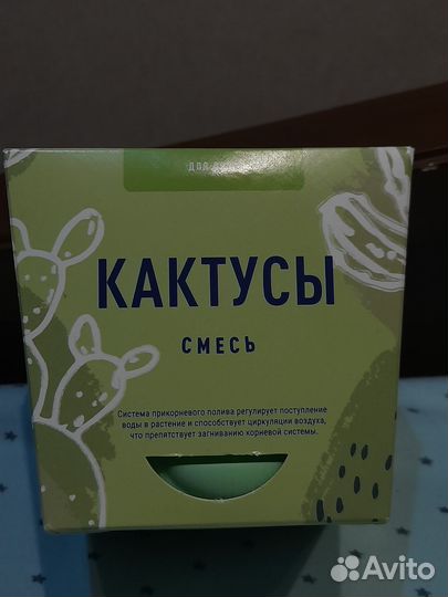 Кактусы (для дома)
