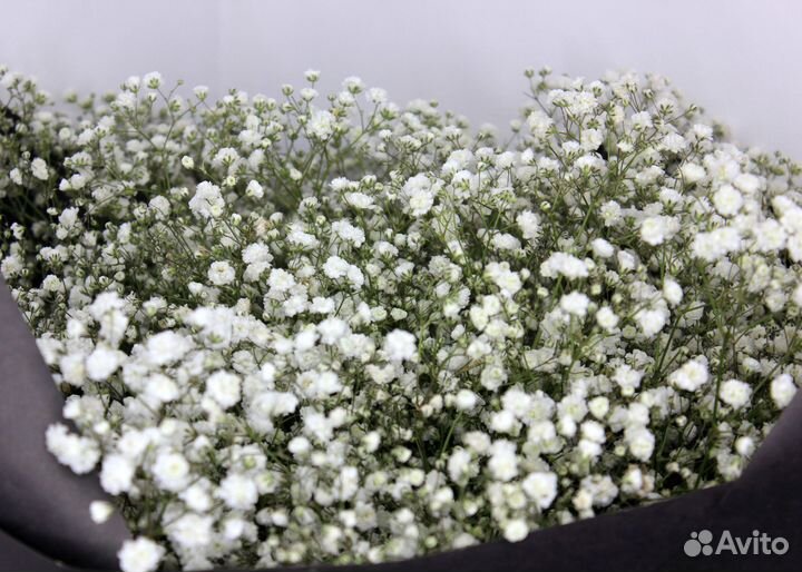 Гипсофила. Букет цветов