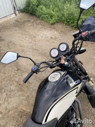 Racer Tiger 150-23