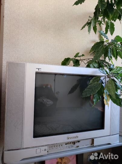 Телевизор Panasonic TC-21GX10TS