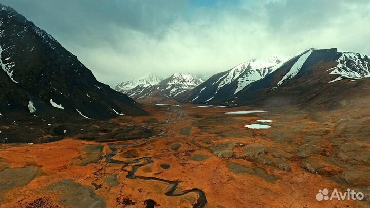 База отдыха на Алтае. Юрточный кемпинг 