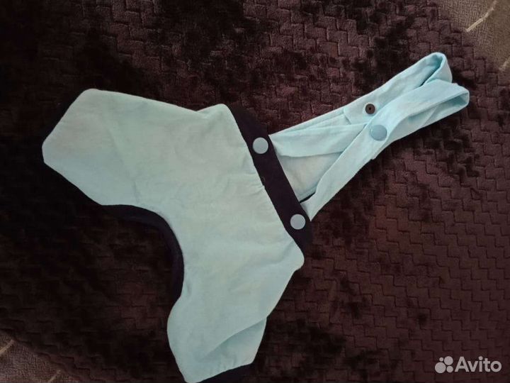 Одежда для маленькой собаки