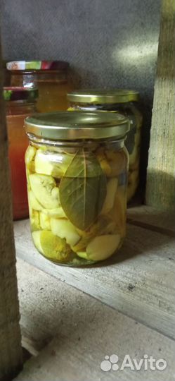 Соленья засолки консервация на зиму