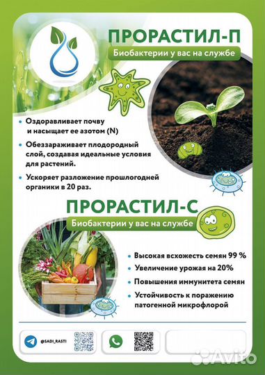 Живые бактерии для огорода 