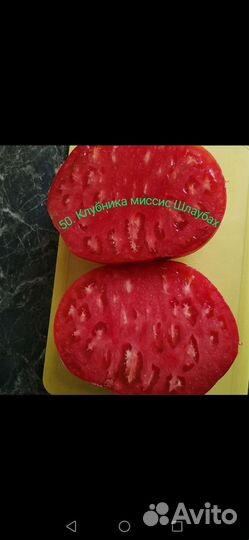 Продаю семена томатов