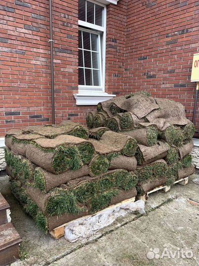 Рулонный газон. Укладка за 1 день