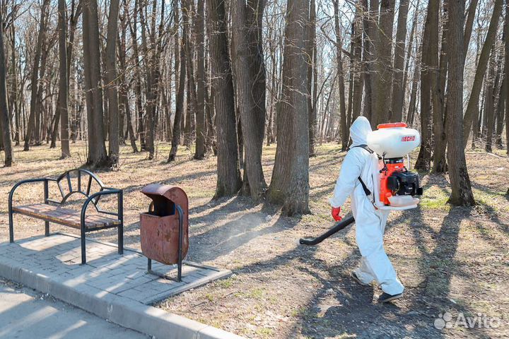 Обработка участка от насекомых