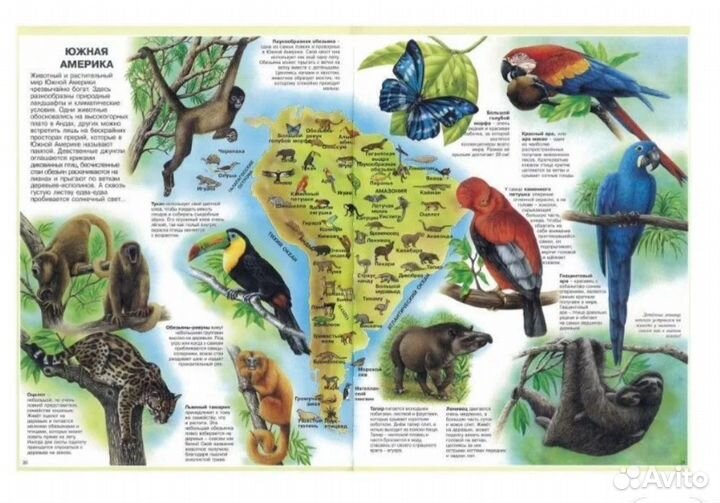 Детская книга, обучающая литература