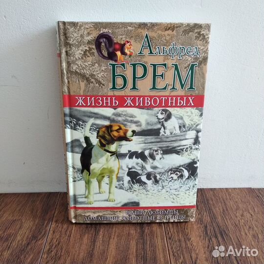 Жизнь животных, Альфред Брем