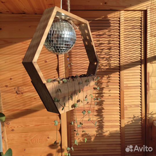 Церопегия в деревянном кашпо