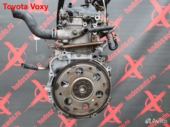 Двигатель 1AZ-FSE Toyota Voxy
