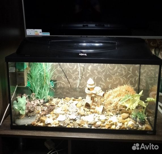 Аквариум