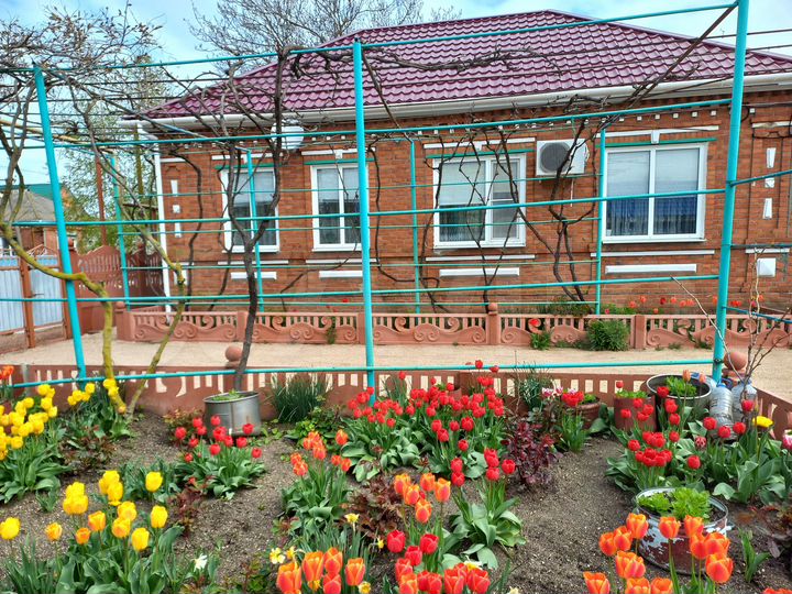 Дом 55 м² на участке 14 сот.