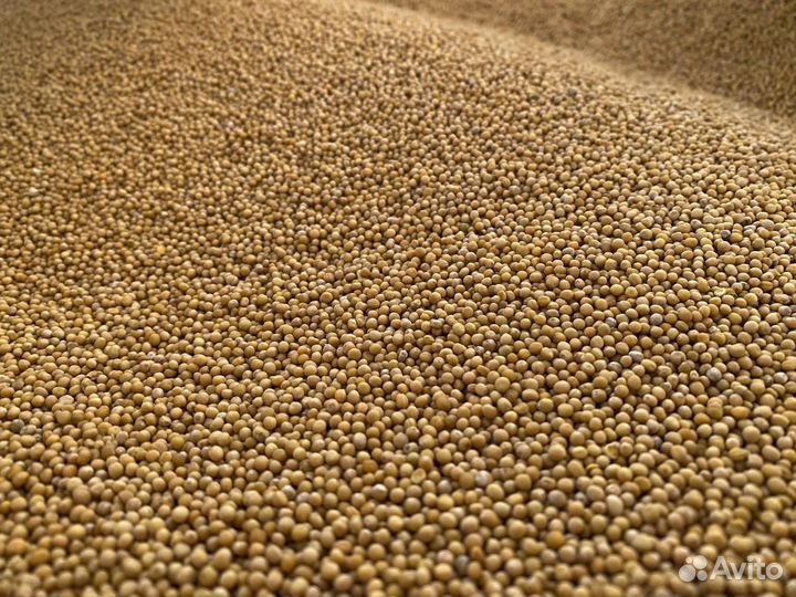 Услуги очистки, сортировки, фотосепарации зерна