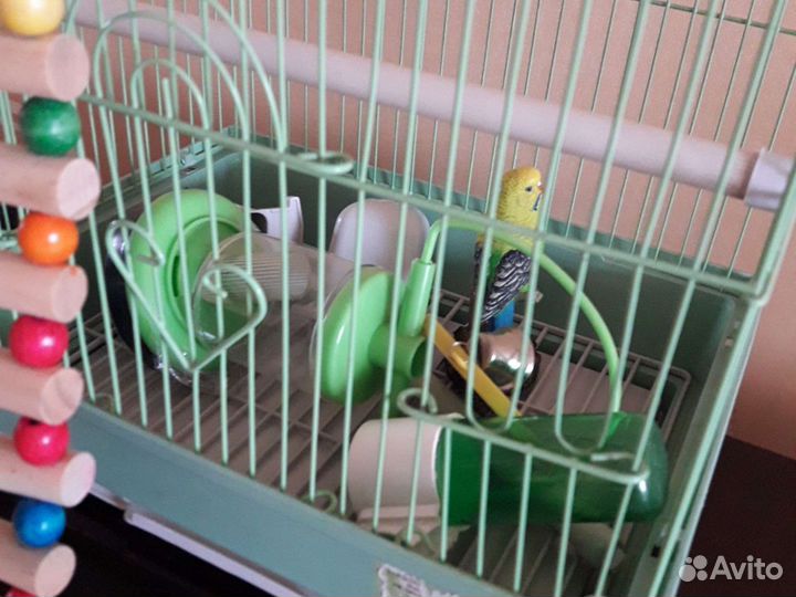 Клетка с аксессуарами для питомцев