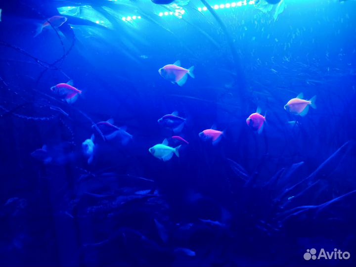 Аквариум с тумбой 150 л