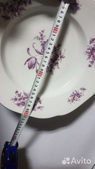 Большое блюдо,фарфор,Богемия