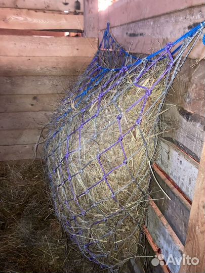 Рептух для лошадей