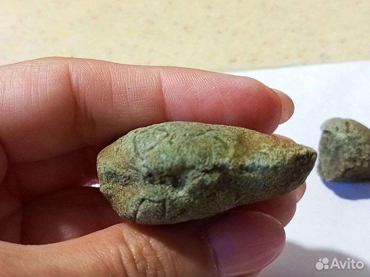 Окаменелости