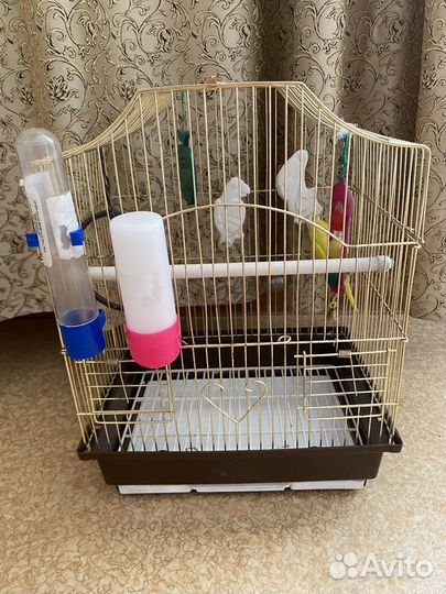 Клетка для попугая