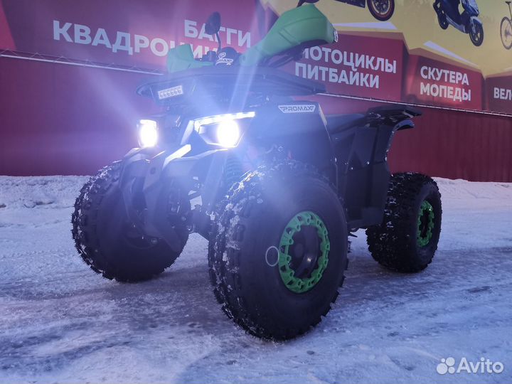 Квадроцикл promax wild 175 LUX черный