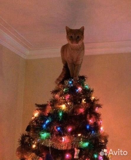 Гирлянда штора 3х2/3х3/2х2 белый теплый есть опт